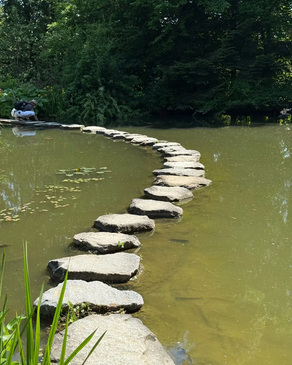 Stapstenen vormen een gebogen pad over het water van een vijver